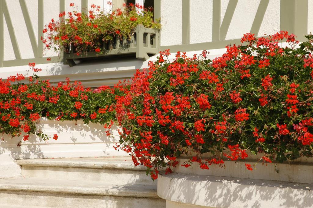 לינה וארוחת בוקר דוביל Manoir De Benerville מראה חיצוני תמונה