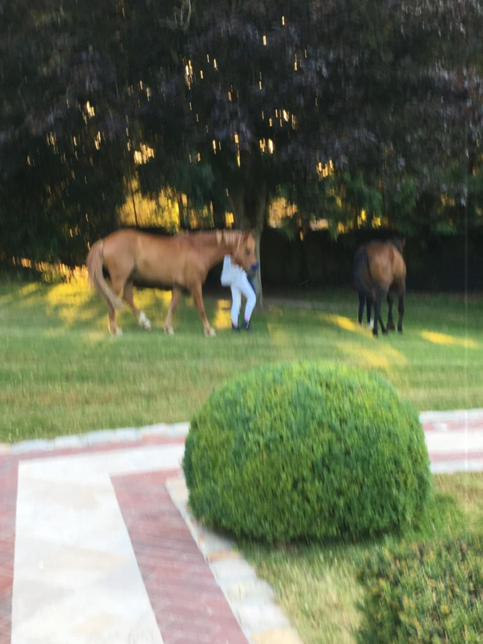לינה וארוחת בוקר דוביל Manoir De Benerville מראה חיצוני תמונה